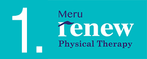 meru_renew_logo